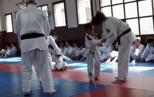 FETE JUDO 2012.3.JPG