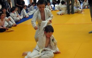 IMG_0046.jpg
