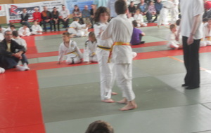 51ac8250b4a9e_judodesonzayle2605201347.JPG