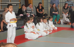 51ac8252ca1e6_judodesonzayle26052013.JPG